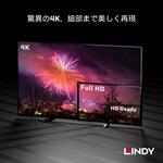 HDMI 2.0 Type-A to Type-D極細ケーブル LINDY