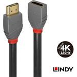 HDMI変換アダプタ LINDY