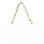 プレート無地 くさり付 光