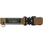 QAベルト アンバー38 広島