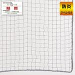 防犯用ネット ネットピッチ2.5cmタイプ(グレー) 吊り下げ用 ストア・エキスプレス
