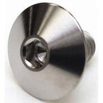 チタン フラットヘッドボルト SBX