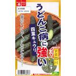 【タネ】うどんこ病に強い四葉キュウリ PR四川 カネコ種苗