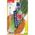 【タネ】暑さに強いシャキッと小ネギ カネコ種苗