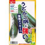 【タネ】うどんこ病に強い強健ズッキーニ グリーンボート カネコ種苗
