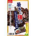 【タネ】暑さに強いレッドリーフレタス 晩抽タフレッド カネコ種苗