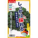 【タネ】しっかり採れるもりもりパセリ グランド カネコ種苗
