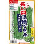 【タネ】長い間収穫できるつるありインゲン いちず カネコ種苗