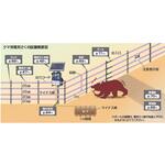 クマ用200mFRPセット 末松電子製作所