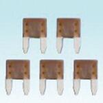 平型ヒューズ 5個入 末松電子製作所