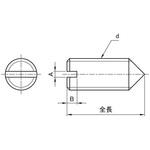(-)トメネジ(トガリサキ) 大阪魂