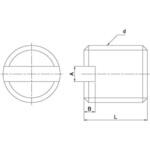 (-)トメネジ(ヒラサキ) 大阪魂