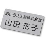 【名入れ】名札 ネームプレート 彫刻タイプ PLUS(プラス)[文具]