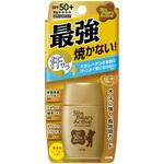サンベアーズアクティブ 近江兄弟社