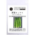 【タネ】鮮緑キュウリ グリーンフィールドプロジェクト