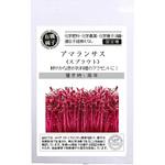 【タネ】アマランサス 〈スプラウト〉 グリーンフィールドプロジェクト