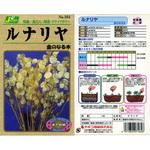【タネ】ルナリヤ 金のなる木 カネコ種苗