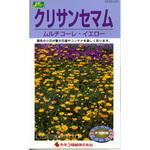 【タネ】クリサンセマム ムルチコーレイエロー カネコ種苗