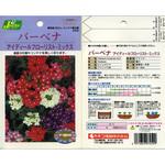 259 【タネ】バーベナ アイディールFミックス カネコ種苗