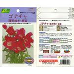 264 【タネ】ゴテチャ 頂天咲き・旭盃 カネコ種苗