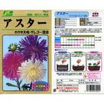 【タネ】アスター カクタス咲きグレゴー混合 カネコ種苗