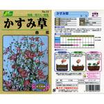 【タネ】かすみ草 赤花 カネコ種苗