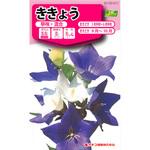 【タネ】ききょう 早咲・混合 カネコ種苗