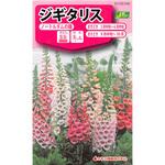 46 【タネ】ジキタリス ノートルダムの鐘 カネコ種苗
