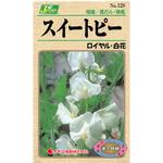 128 【タネ】スイートピー ロイヤル・白花 カネコ種苗