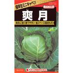 【タネ】極早生ミニキャベツ 爽月(2号) カネコ種苗