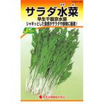 282 【タネ】サラダ水菜 早生千筋京水菜 カネコ種苗