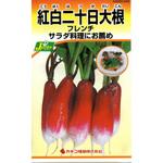 289 【タネ】紅白二十日大根 フレンチ カネコ種苗