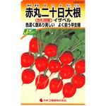 【タネ】赤丸二十日大根 イザベル カネコ種苗
