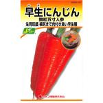 【タネ】早生にんじん 鮮紅五寸人参 カネコ種苗
