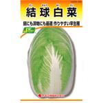 300 【タネ】結球白菜 カネコ種苗