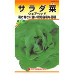 【タネ】サラダ菜 ウェアヘッド カネコ種苗