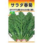 332 【タネ】サラダ春菊 カネコ種苗