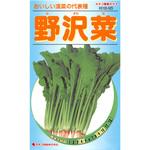 525 【タネ】野沢菜 カネコ種苗