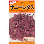 【タネ】サニーレタス レッドリーフ カネコ種苗