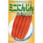 561 【タネ】ミニにんじん ソニーキャロット カネコ種苗