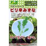 713 【タネ】ベビーリーフ_ピリ辛みずな カネコ種苗