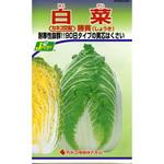 261 【タネ】白菜 勝黄 カネコ種苗