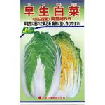 【タネ】早生白菜 黄望峰65 カネコ種苗
