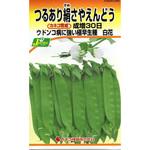 284 【タネ】つるあり絹さやえんどう 成増30日(白花) カネコ種苗