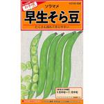 508 【タネ】早生そら豆 カネコ種苗