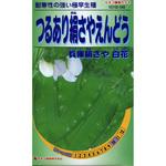 549 【タネ】つるあり絹さやえんどう 兵庫絹さや 白花 カネコ種苗