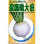 551 【タネ】聖護院大根 カネコ種苗