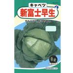 タネ】ウタネ交配 新富士早生甘藍 ウタネ 野菜の種 通年 【通販