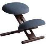 プロポーションチェア (R) SOLA (ソラ) デスクチェア バランスチェア ミヤタケ(宮武製作所)