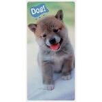 フォトジョイシール ユニット